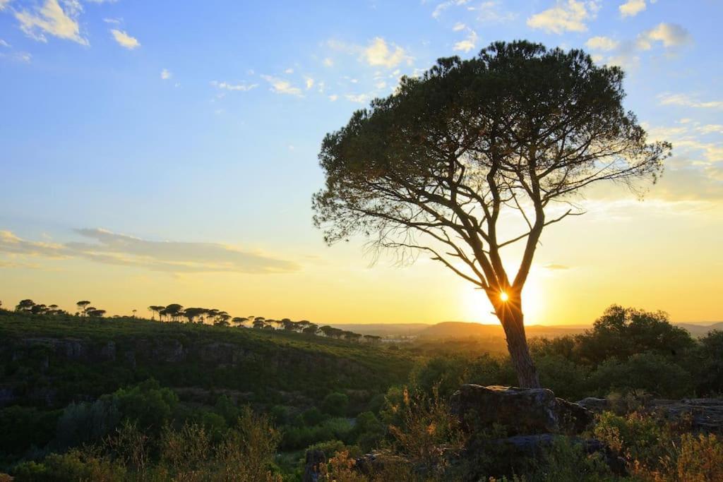 Apartmán Orange Sunset Draguignan Exteriér fotografie